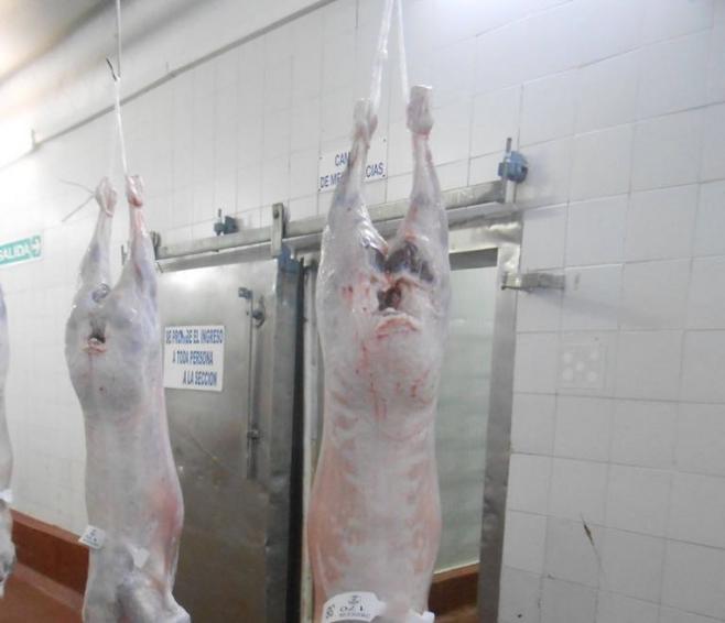 Santa Leopoldina envió su primer embarque de carne ovina a Estados Unidos